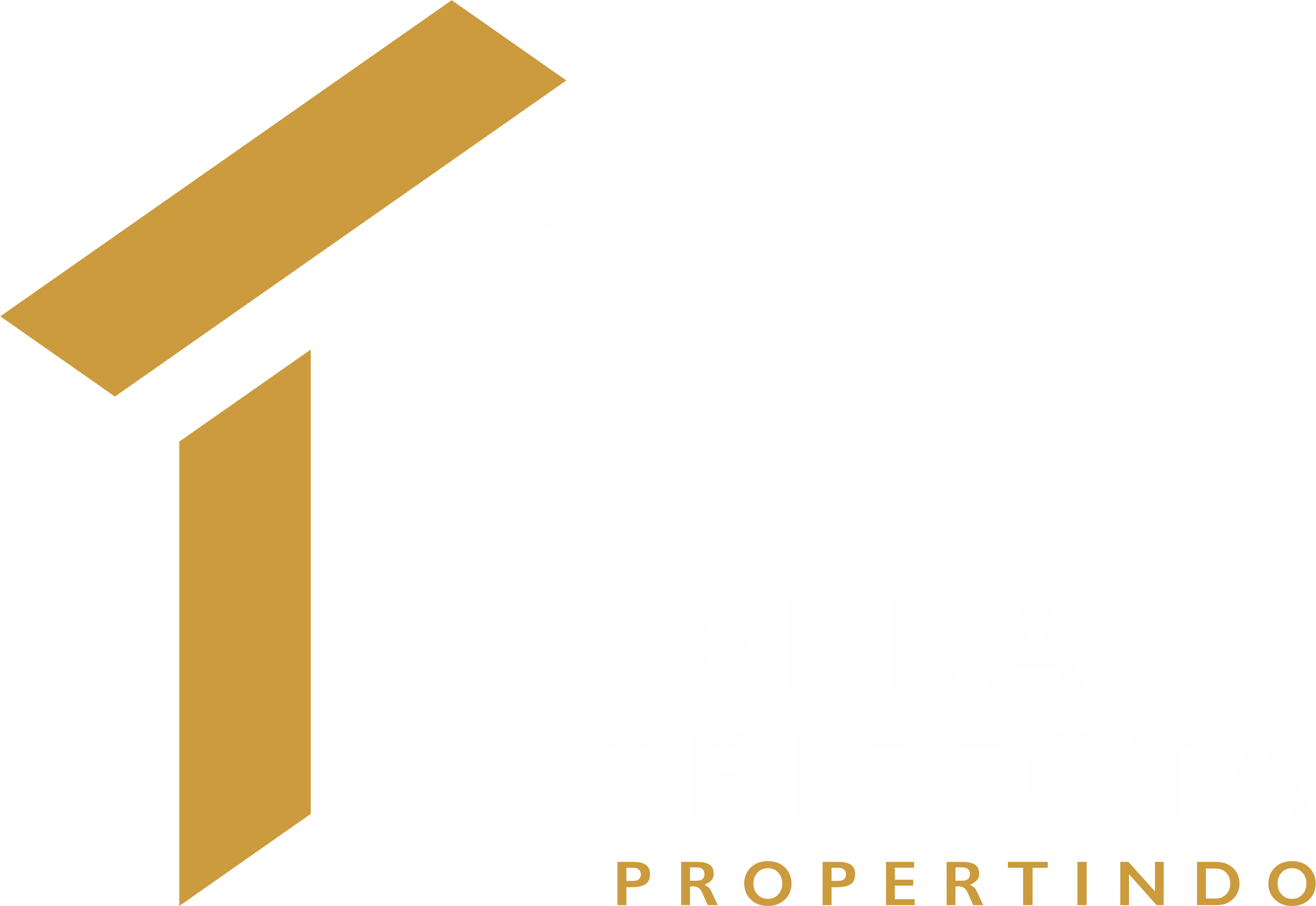 CV Terra Trifecta Propertindo